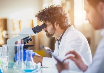 Lab work img